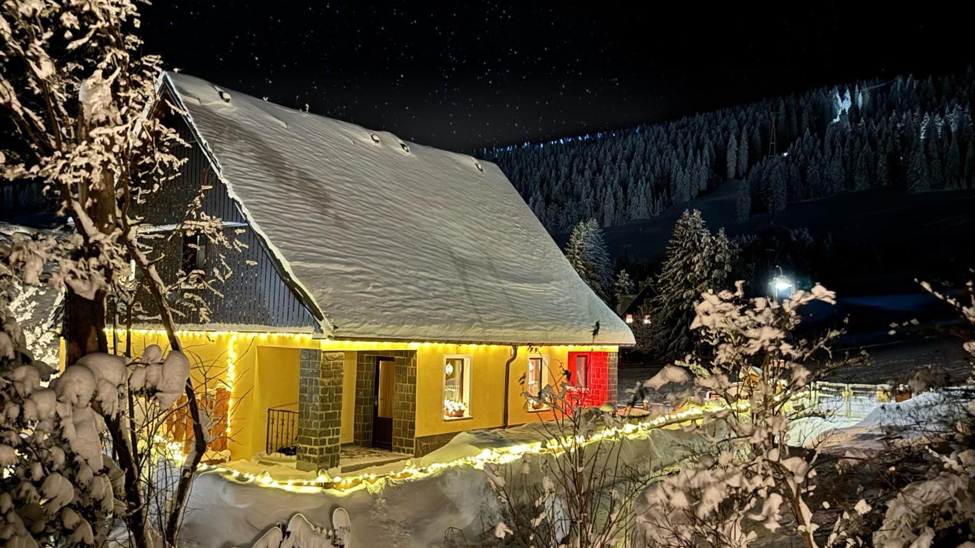 Ferienwohnung-direkt-am-skihang *